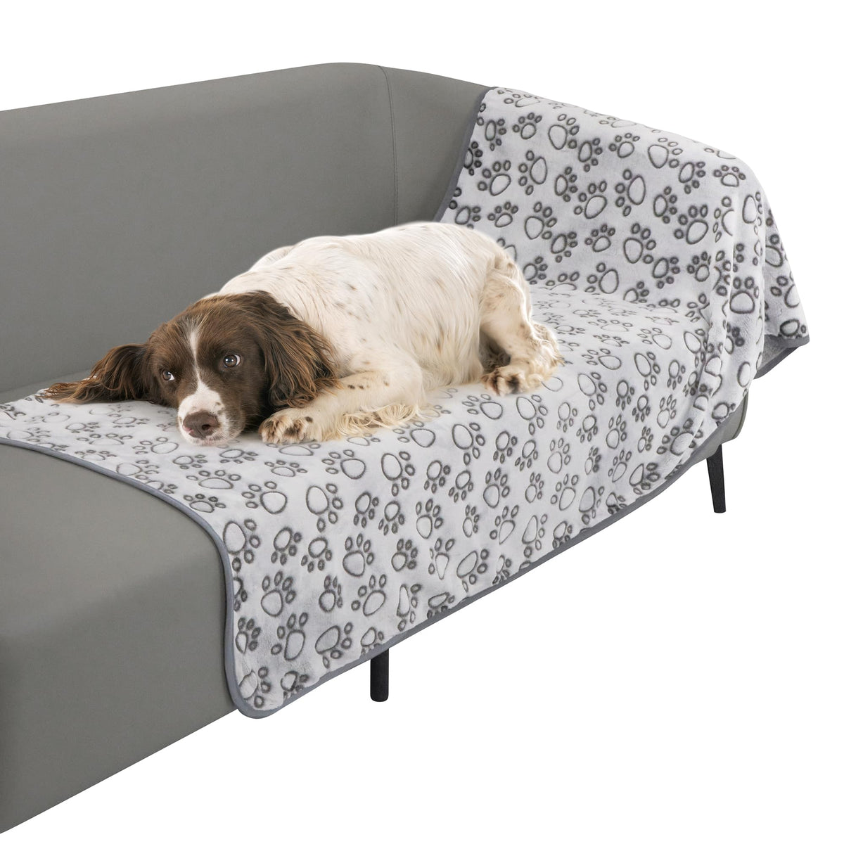 Stuffed® Premium Soft Dog Blanket Washable, 40"x32" Cat Blanket for Indoor Cats Large Medium Small Dog Puppy Essentials (Grey)