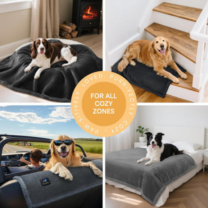 Luciphia Waterproof Bed Blanket Washable,Soft Sherpa Fleece Puppy Reversible Throw Blankets for Small Dog Cat, Furniture Cover Protector Couch Bed from Liquid Pee and Pet Fur, Black, 40" x 28"