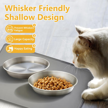 2-Pack 304 Stainless Steel Cat Food Bowls, Non-Slip Basic Dishes