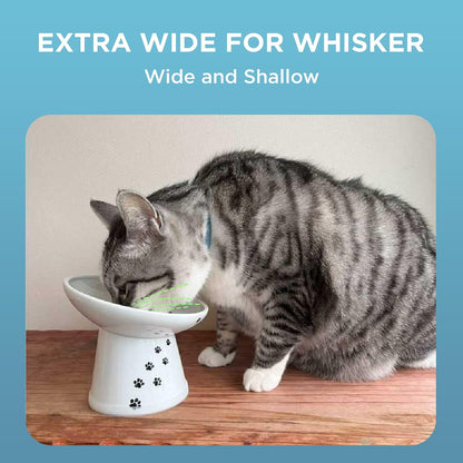 Necoichi Ceramic Elevated Cat Food Bowl, 15° Tilted (Cat, Extra Wide Tilted)