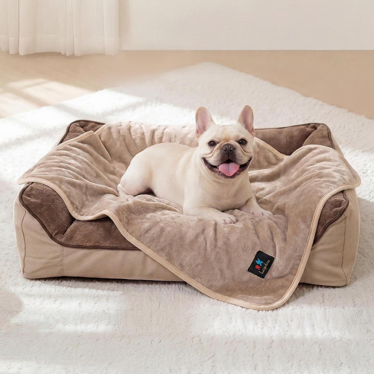 Luciphia Waterproof Bed Blanket Washable,Soft Sherpa Fleece Puppy Reversible Throw Blankets for Small Dog Cat, Furniture Cover Protector Couch Bed from Liquid Pee and Pet Fur, Black, 40" x 28"