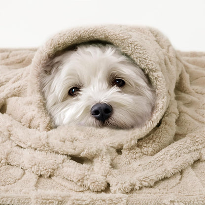 Luciphia 2 Pack Small Dog Blanket, Cozy Fleece Throw for Puppy Cat,30"x20"
