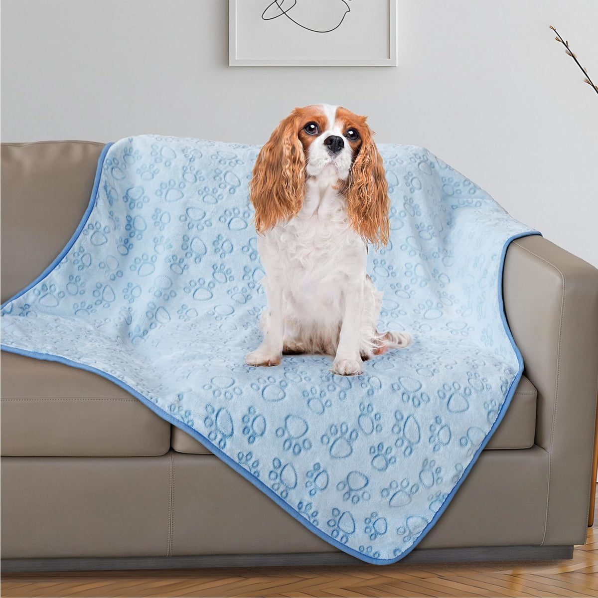 Stuffed® Premium Soft Dog Blanket Washable, 40"x32" Cat Blanket for Indoor Cats Large Medium Small Dog Puppy Essentials (Grey)