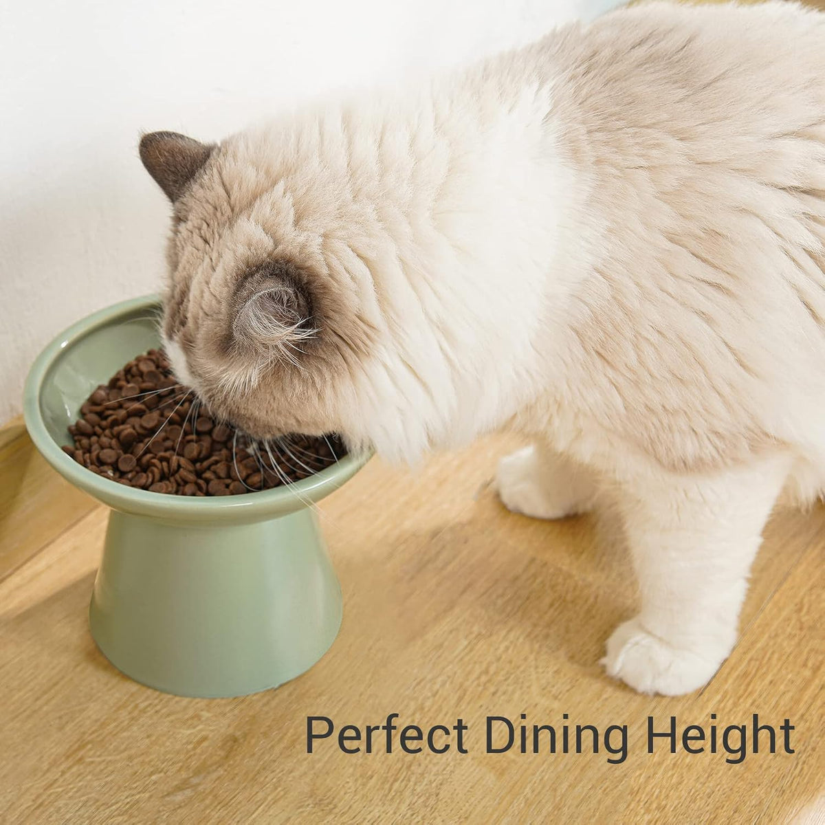 CEEFU Extra Wide Elevated Ceramic 6.2" Shallow Cat Food Bowl