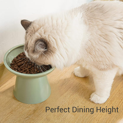 CEEFU Extra Wide Elevated Ceramic 6.2" Shallow Cat Food Bowl