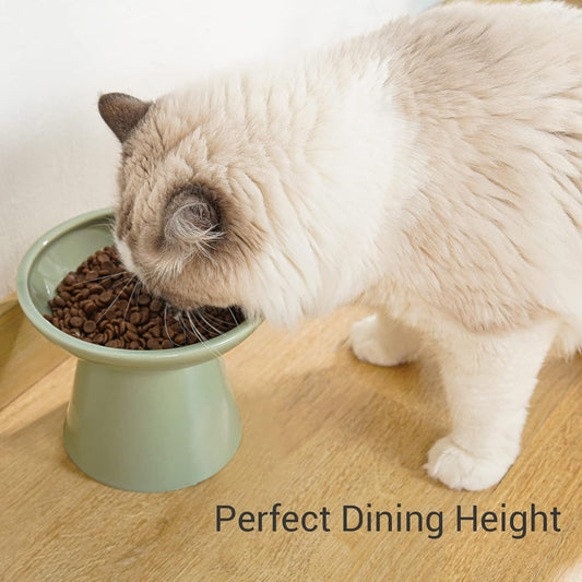 CEEFU Extra Wide Elevated Ceramic 6.2" Shallow Cat Food Bowl
