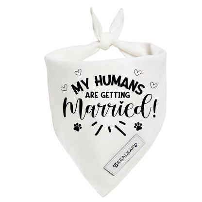 Realeaf Big Brother Big Sister Dog Bandanas Pet Scarf for Medium and Large Dogs New Baby Announcement Pet Accessories Pregnancy Reveal Ideas (X-Large)