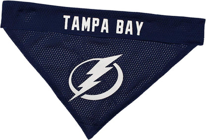 NHL Buffalo Sabres Bandana for Dogs & Cats, Small/Medium. - Cute & Stylish Bandana! The Perfect Hockey Fan Scarf Bandana, Great for Birthdays Or Any Party!