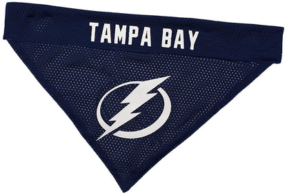 NHL Buffalo Sabres Bandana for Dogs & Cats, Small/Medium. - Cute & Stylish Bandana! The Perfect Hockey Fan Scarf Bandana, Great for Birthdays Or Any Party!