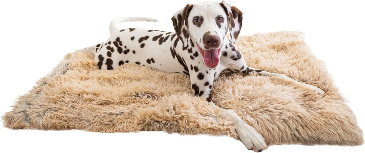 Best Friends by Sheri Dog Blanket, Shag Faux Fur, Taupe, 30" x 40"