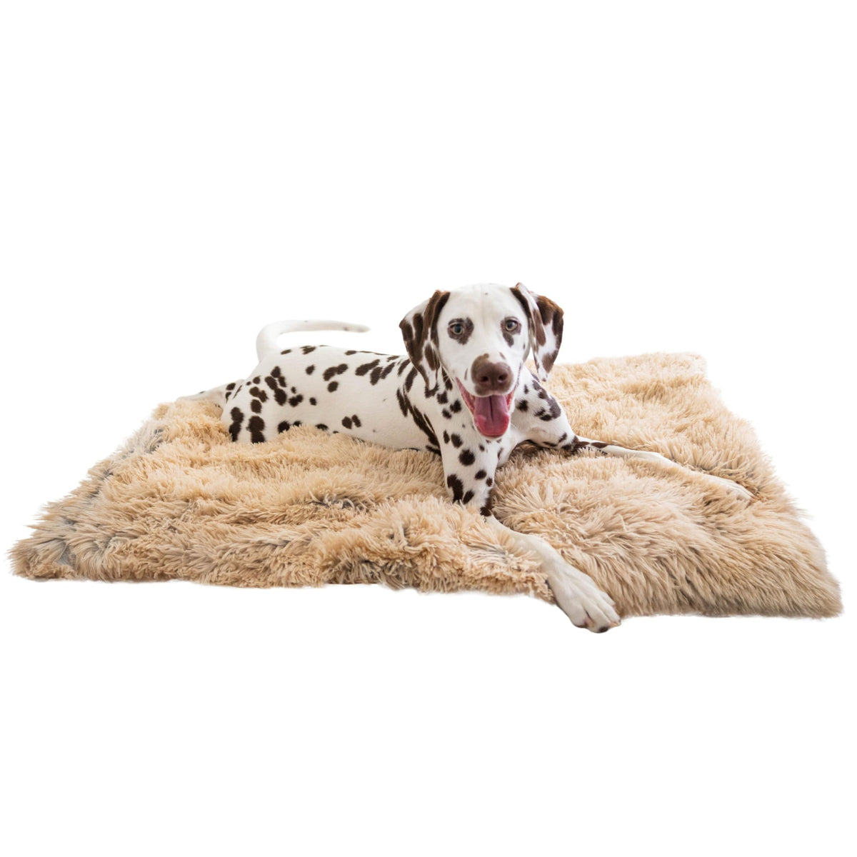 Best Friends by Sheri Dog Blanket, Shag Faux Fur, Taupe, 30" x 40"