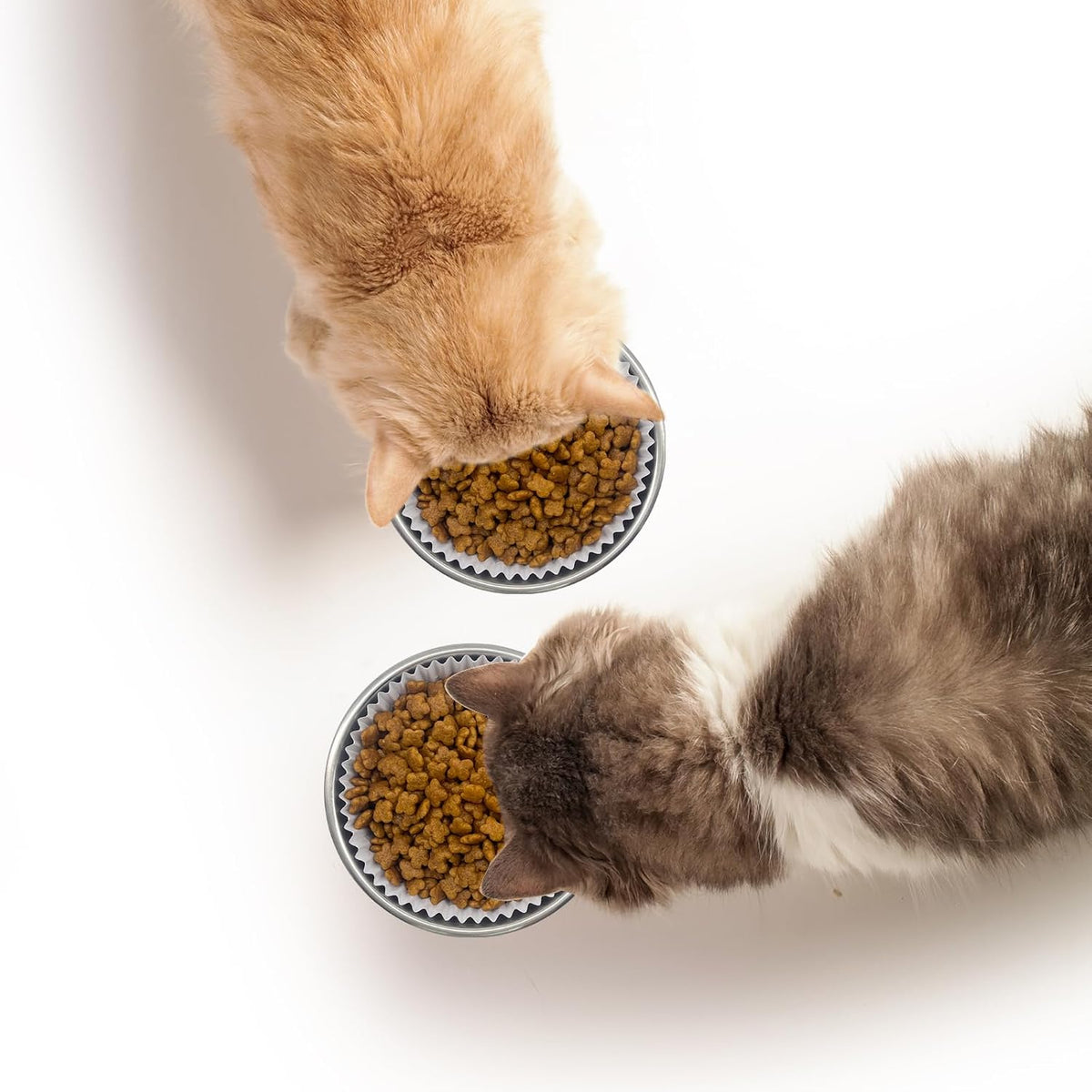 302 Pcs Disposable Cat Food Bowls Set with Pet Feeding Stainless Steel Dish