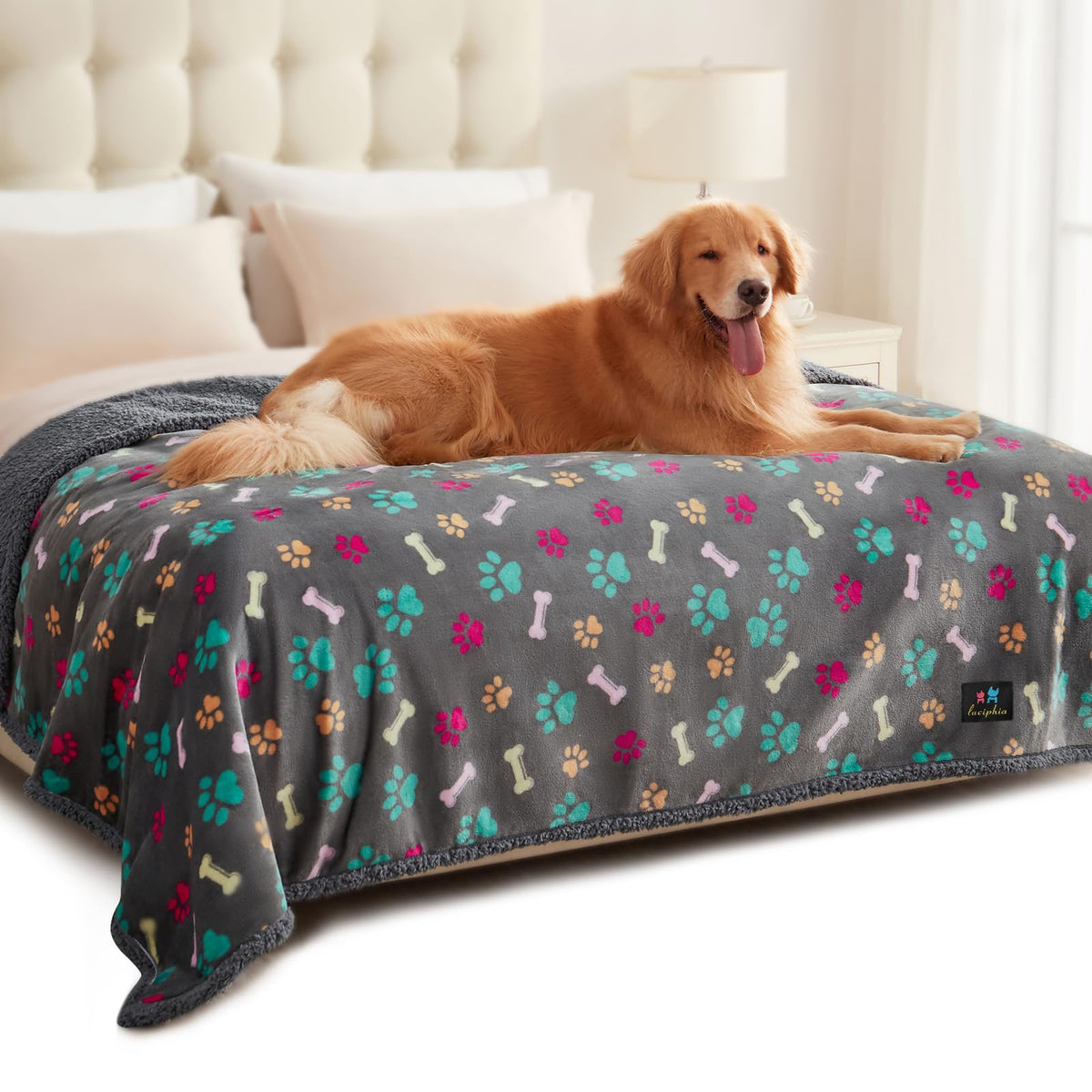 Luciphia Waterproof Dog Blanket Reversible Sherpa Fleece for Small Dogs Cat
