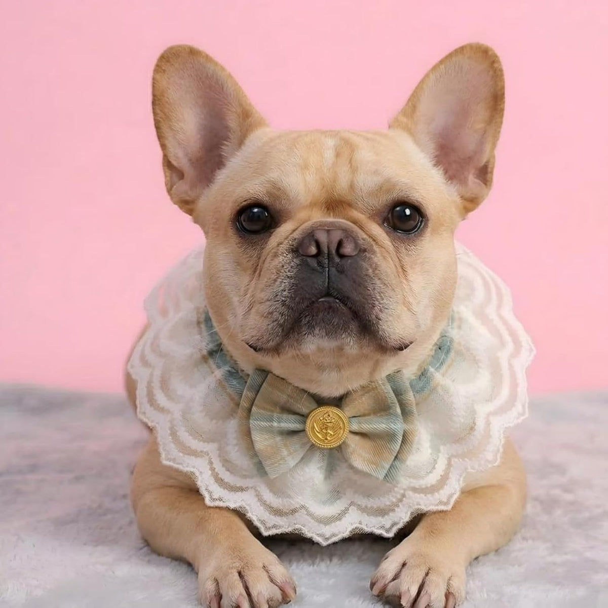 Handmade Cat Bandana with Bowtie - Khaki Plaid Boho Pet Collar Scarf for Birthday, Party, Photoshoot - Adjustable Bib Outfit for Small Dogs, Puppies, Cats, Kittens, and Rabbits