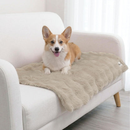 Paw Inspired Waterproof Dog Blanket, 32x24 Inch Size, Beige