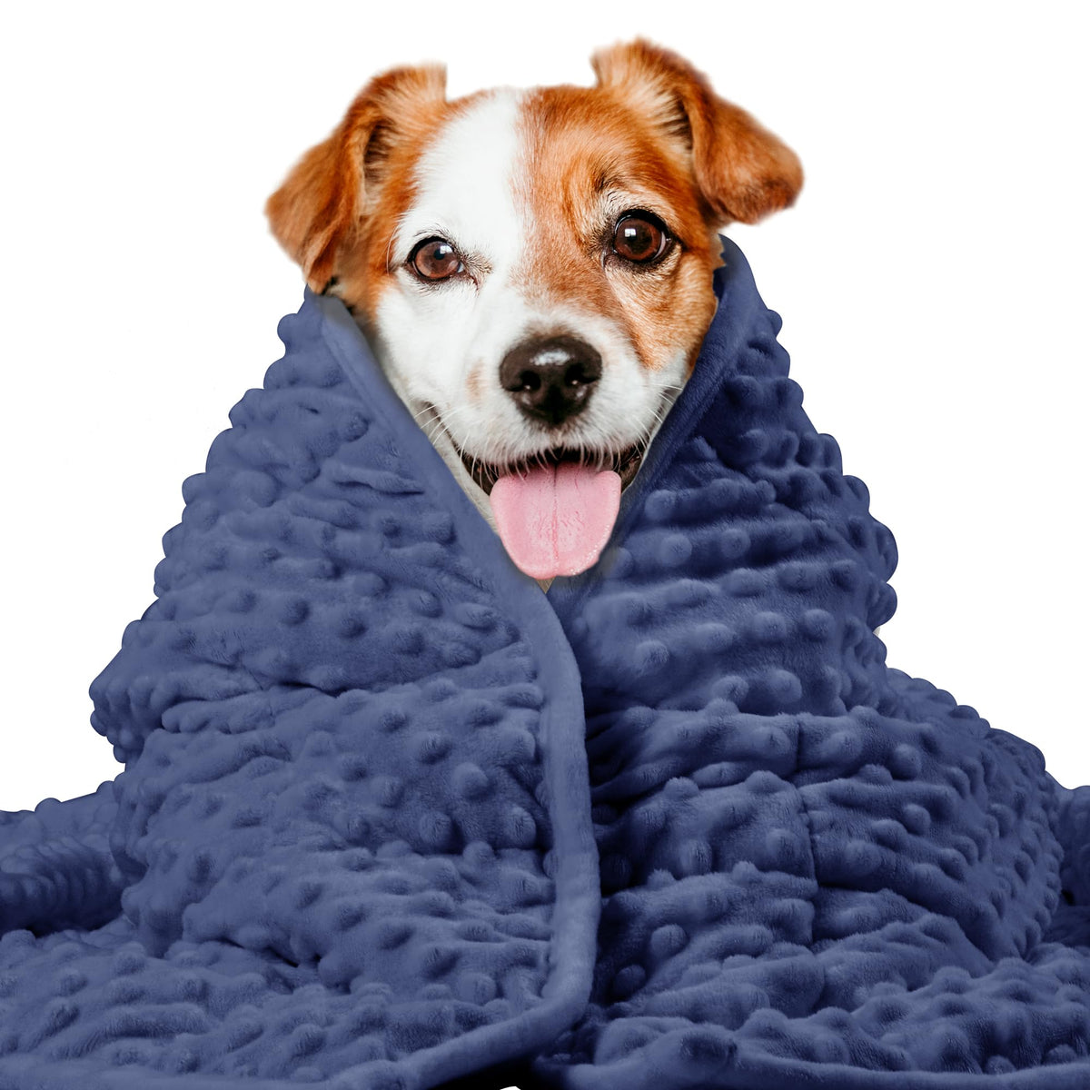 LaSyL Weighted Blanket for Pets | Thunder Blanket for Dogs Anxiety | Premium Soft Minky | Relaxation & Calming & Anti Anxiety | Used in Car, Bed, Couch | Blue Grey Star, Washable Small (24"x32")