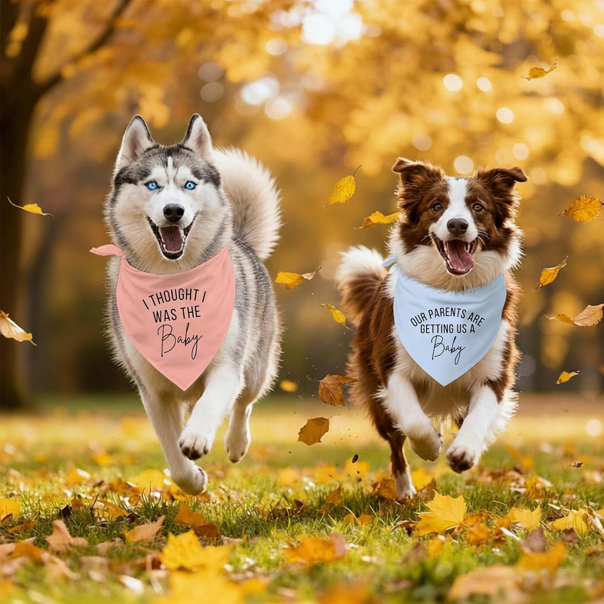 2 Pack Dog Bandanas for Pregnancy Announcement, Cute Adjustable Pet Bandana Scarf for Small Medium Large Dogs, Gender Reveal Puppy Accessories, Soft Breathable Fabric for Puppy Cats(Blue&Pink)