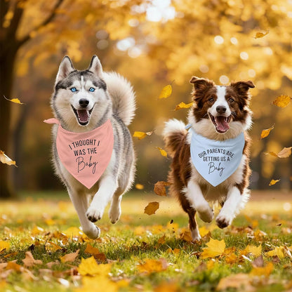 2 Pack Dog Bandanas for Pregnancy Announcement, Cute Adjustable Pet Bandana Scarf for Small Medium Large Dogs, Gender Reveal Puppy Accessories, Soft Breathable Fabric for Puppy Cats(Blue&Pink)