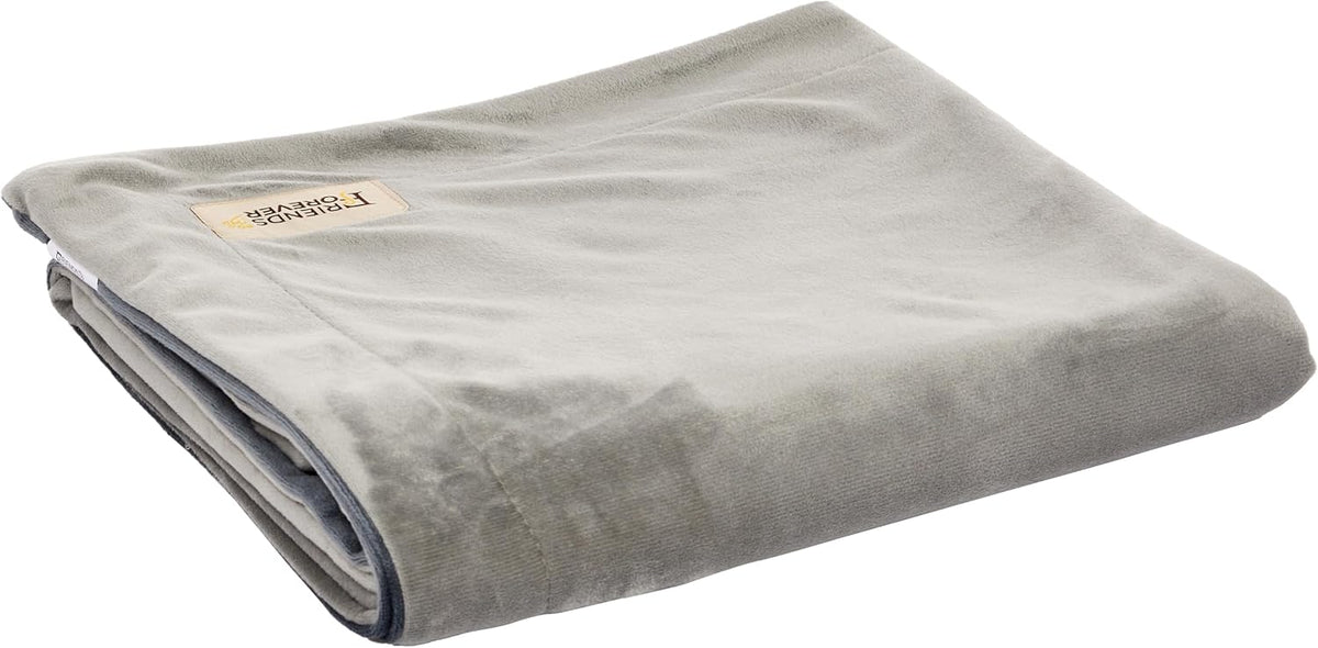 Friends Forever Dog Bed Blanket, Pets Blankets for Couch Sofa Protection
