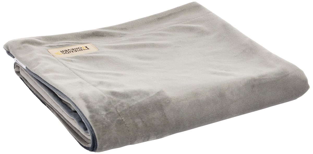 Friends Forever Dog Bed Blanket, Pets Blankets for Couch Sofa Protection