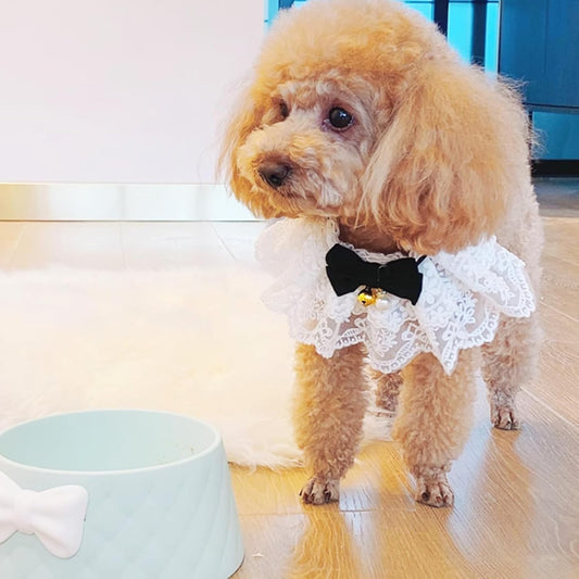 Pet Lace Bib Collar with Bow, Decorative Scarf for Dogs and Cats, Small Size, Comfortable Wear