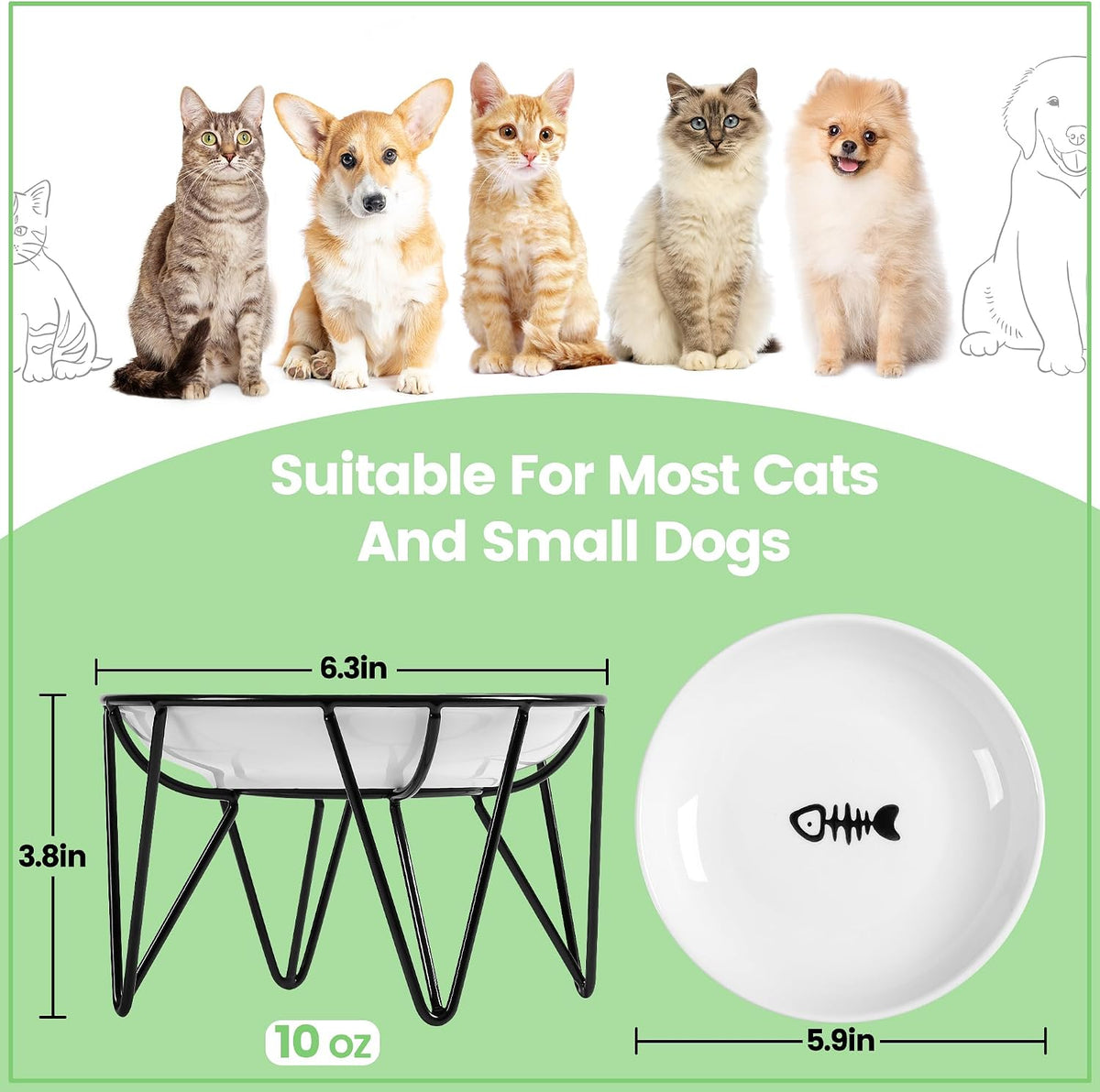 Ceramic Cat Bowls, 2 Pack - Raised, Whisker Friendly, Anti-Vomiting Cat Food Plates - Hygienic, Secure Material, Elegant Stand, 10 oz, for Indoor Cats & Kittens