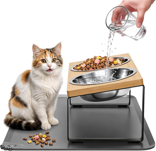 Elevated Tilted Cat Food Bowls with Mat, 304 Stainless Steel 2 Water Bowls