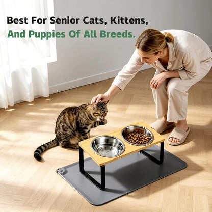 Elevated Tilted Cat Food Bowls with Mat, 304 Stainless Steel 2 Water Bowls