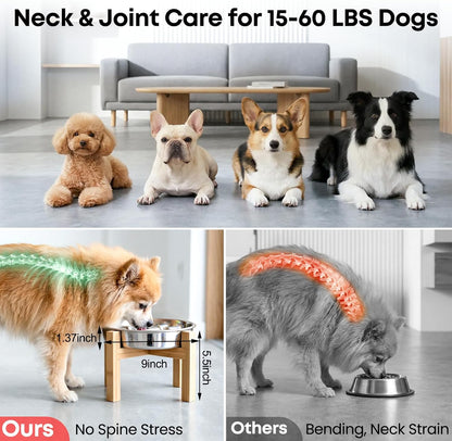 Elevated Slow Feeder Dog Bowls 2 Cups for 15-60 LBS Breed Puppy