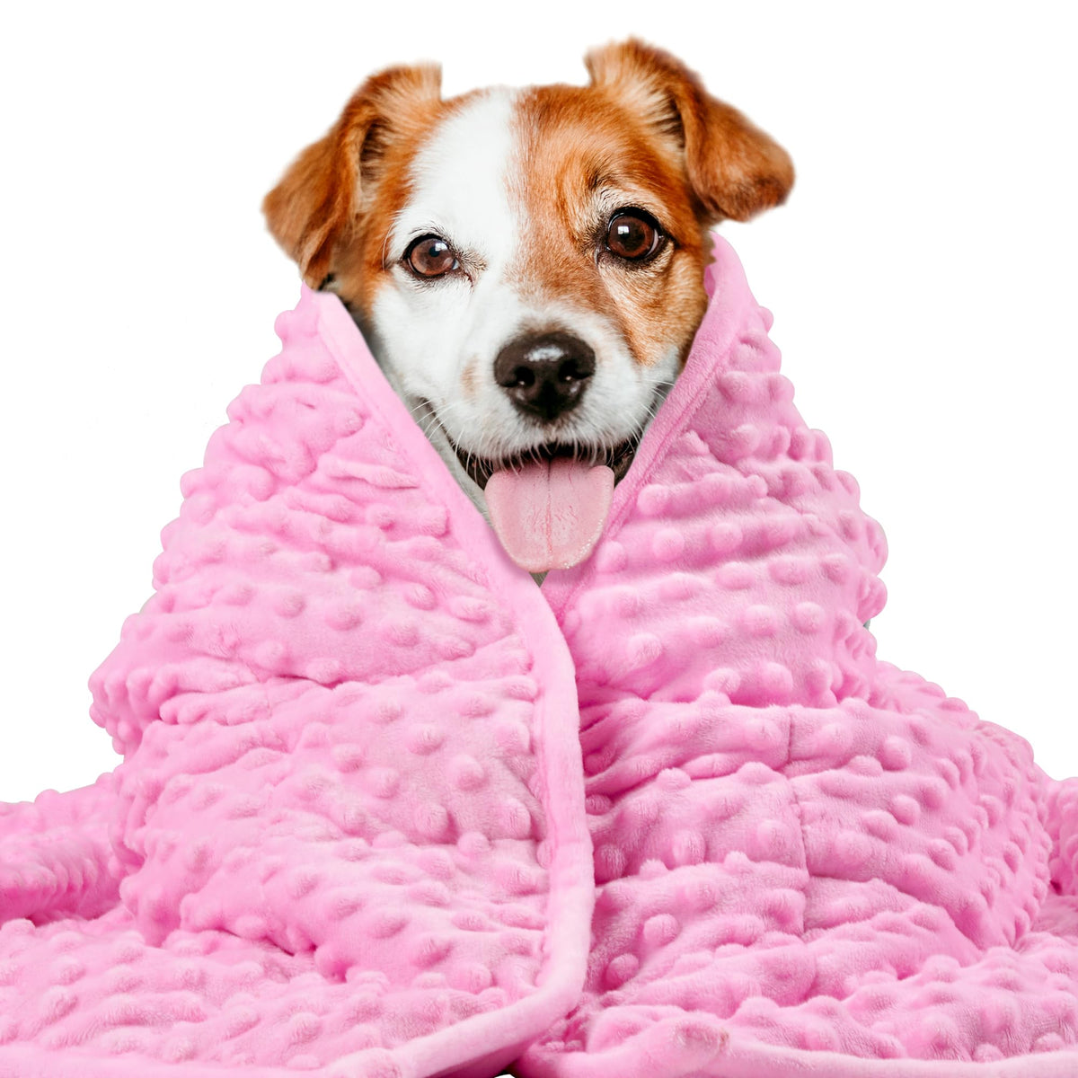 LaSyL Weighted Blanket for Pets | Thunder Blanket for Dogs Anxiety | Premium Soft Minky | Relaxation & Calming & Anti Anxiety | Used in Car, Bed, Couch | Blue Grey Star, Washable Small (24"x32")