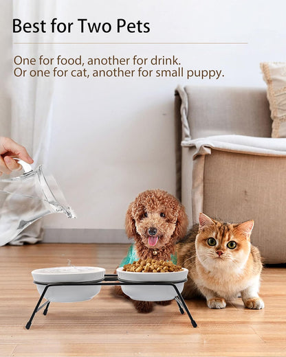 Anti-Vomiting Raised Cat Bowls - 2 × 13 oz Ceramic Cat Food & Water Bowls with Non-Slip Stainless Steel Stand, Dishwasher Safe for Indoor Cats