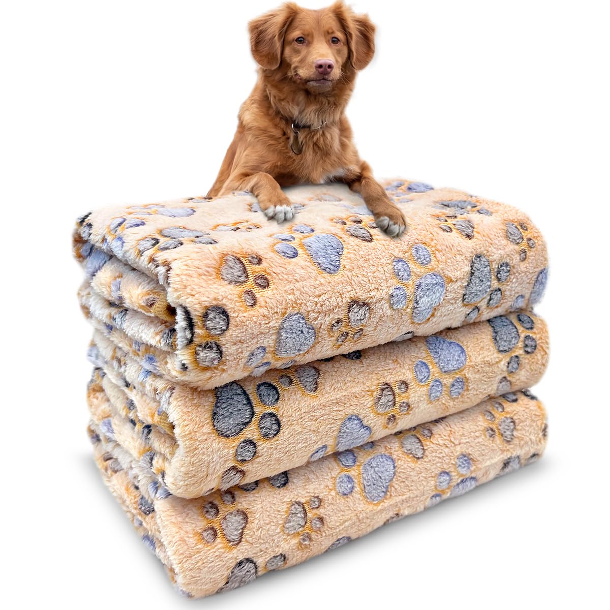 Dog Blankets for Medium Large Dogs, Cute Paw Pattern Washable 41" x 31"