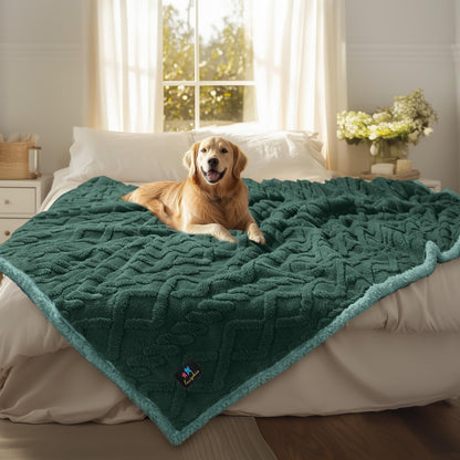 Luciphia Waterproof Blanket for Twin Bed Reversible Fleece Couch Cover