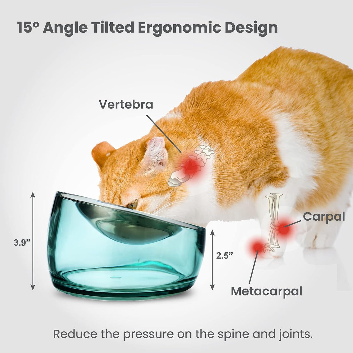 Felli Oblik Elevated Cat Bowl Removable Stainless Steel Wide Dish for Dry Wet Food Feeding & Dishwasher Clean, Slanted Whisker Fatigue Friendly Metal Plate (Classic, 0.5 Cups Shallow Dish)