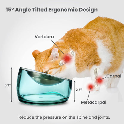 Felli Oblik Elevated Cat Bowl Removable Stainless Steel Wide Dish for Dry Wet Food Feeding & Dishwasher Clean, Slanted Whisker Fatigue Friendly Metal Plate (Classic, 0.5 Cups Shallow Dish)