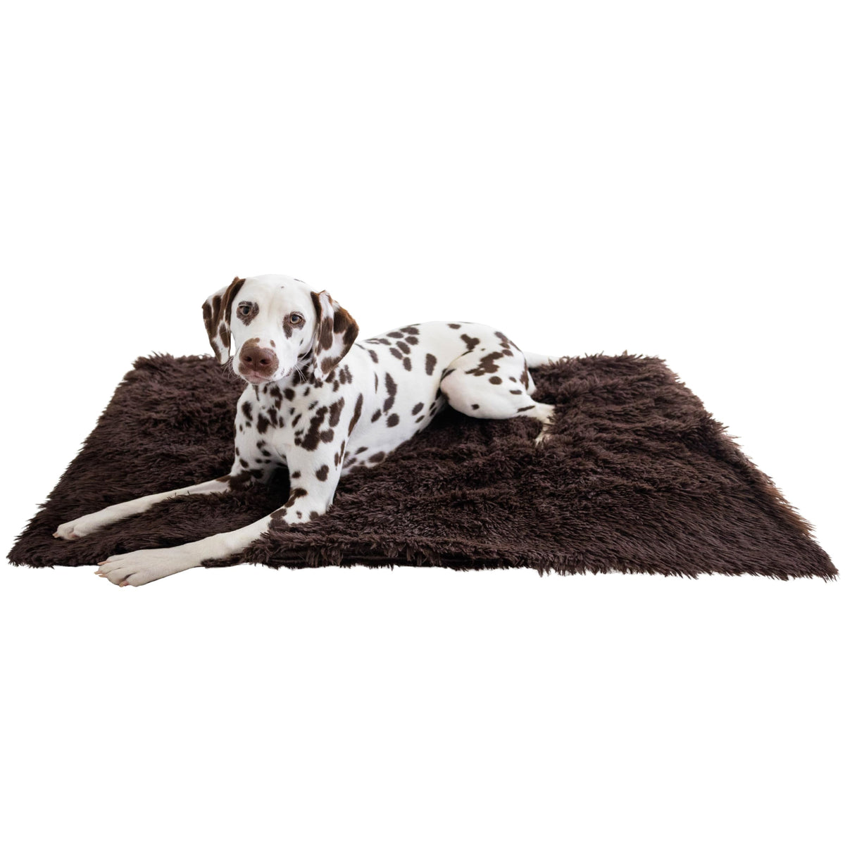 Best Friends by Sheri Dog Blanket, Shag Faux Fur, Taupe, 30" x 40"