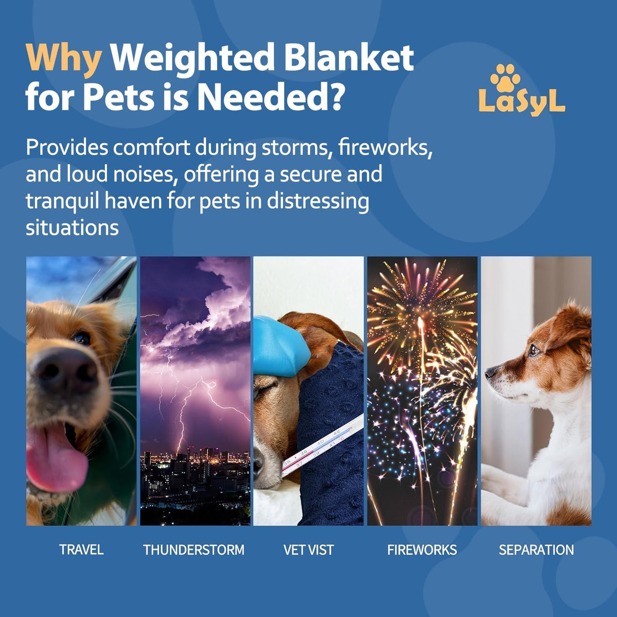 LaSyL Weighted Blanket for Pets | Thunder Blanket for Dogs Anxiety | Premium Soft Minky | Relaxation & Calming & Anti Anxiety | Used in Car, Bed, Couch | Blue Grey Star, Washable Small (24"x32")