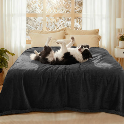 Luciphia Waterproof Bed Blanket Washable,Soft Sherpa Fleece Puppy Reversible Throw Blankets for Small Dog Cat, Furniture Cover Protector Couch Bed from Liquid Pee and Pet Fur, Black, 40" x 28"