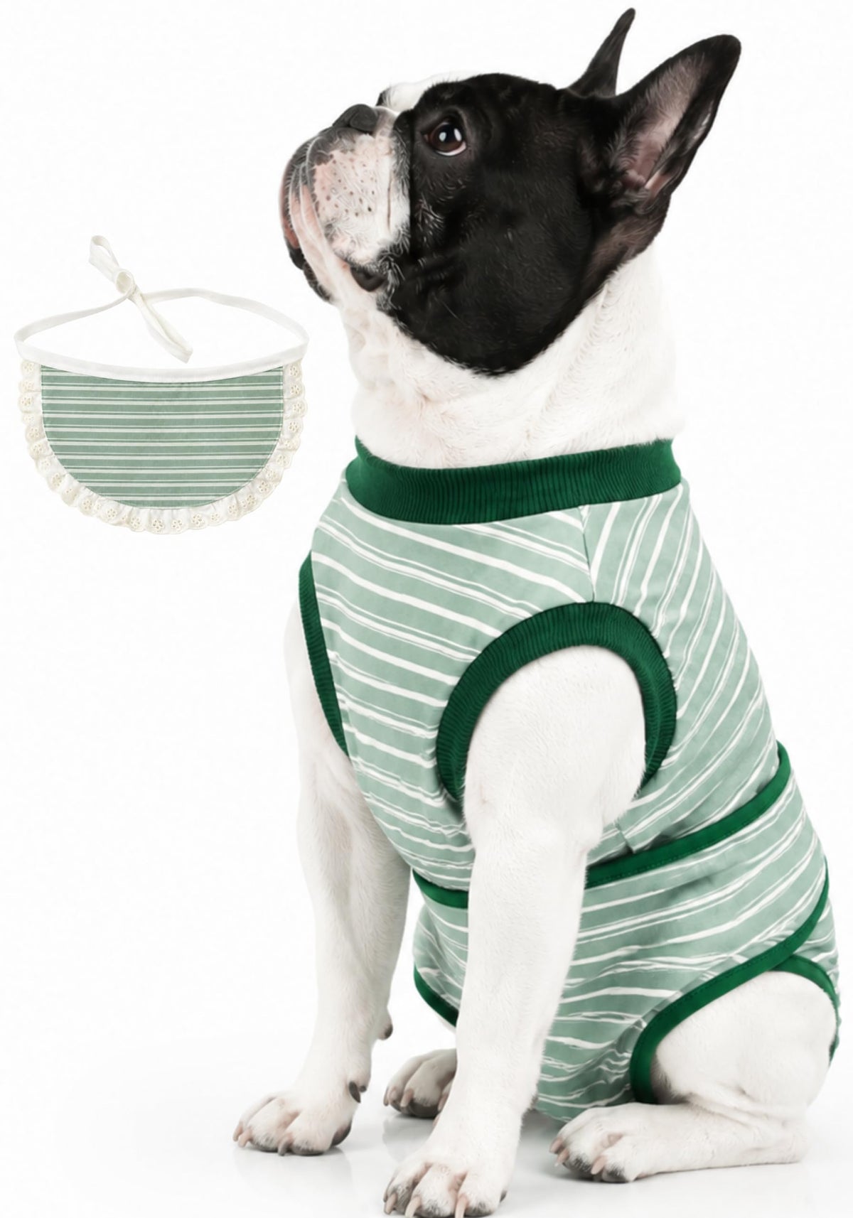 Surgery Recovery Suit for Female Male Dog, Soft Onesie After Spay Neuter,XS