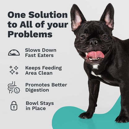 Enhanced Pet Bowl – Slanted Stainless Steel Dog Bowl for Breeds Like Bulldogs, Pugs – Raised Back, No-Spill, Reduces Gas & Mess – Medium Size, Non-Slip, Food-Grade - Does Not Ship from China