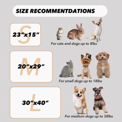 1 Pack 3 Puppy Blankets Super Soft Warm Sleep Mat Grey Cute Print Fluffy Fleece Pet Flannel Throw Dog Blankets for Small Dogs Cats,Star&Bone&Love-Medium(29"x20")