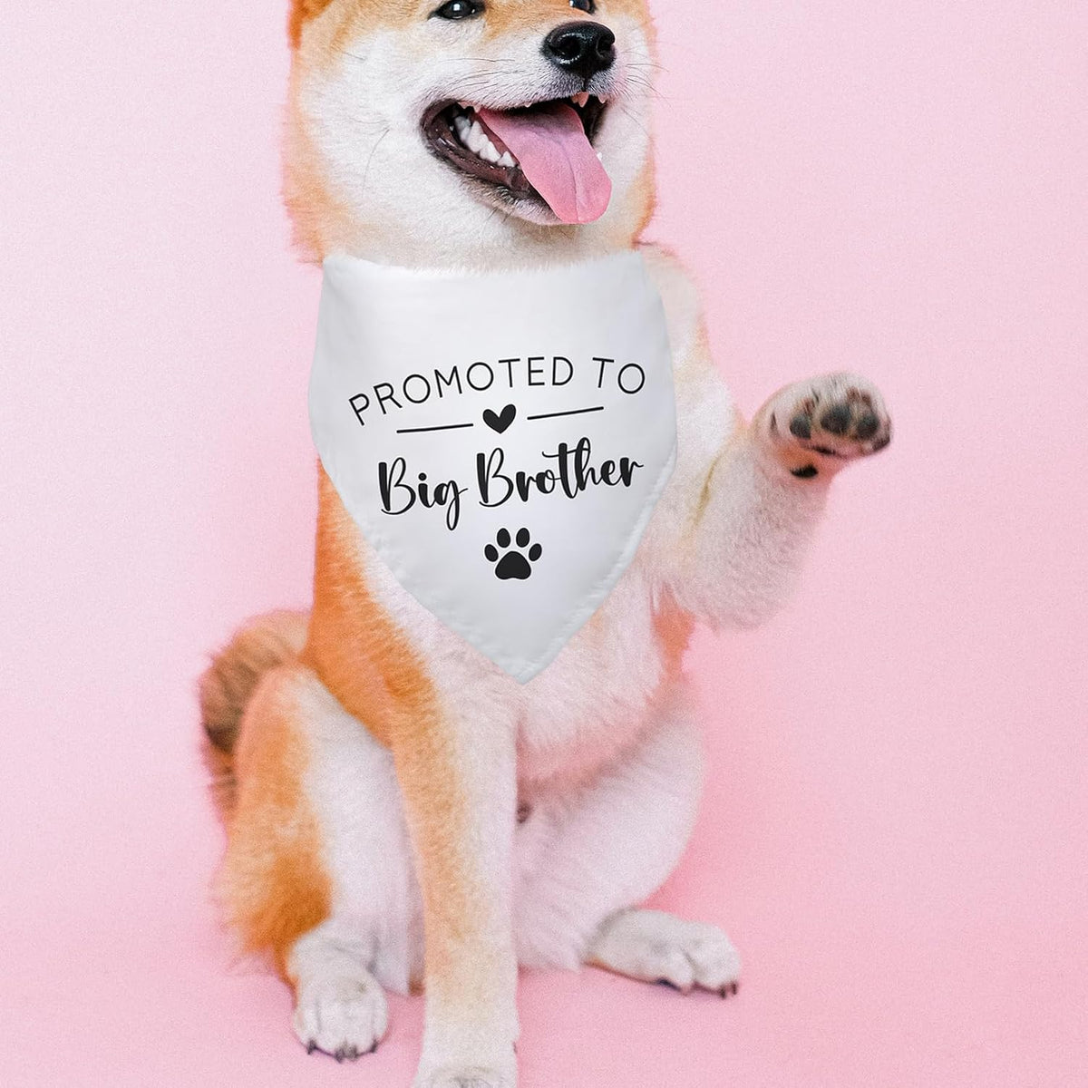 Promoted to Big Brother White Pet Dog Bandanas Triangle Scarf Bandanas Bibs Birthday Party Props Gender Revealing Photo Props Accessories for Pet Dog Lovers Gifts