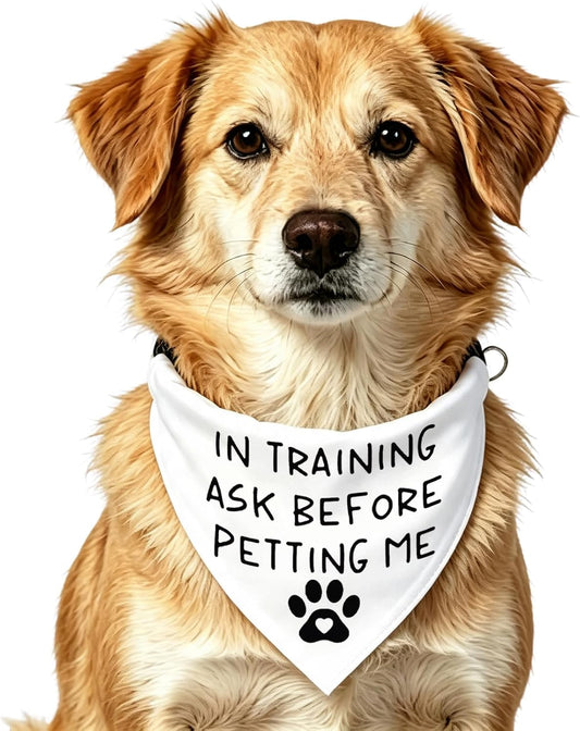 Funny Assistance Dog Bandana in Training Ask Before Petting Me Triangle Bibs Pet Scarf Gift for Dog (Ask Before Petting Me)
