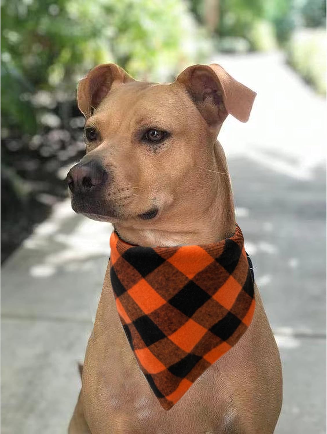 Realeaf Fall Dog Bandanas 2 Pack, Orange Plaid Pet Scarf for Boy and Girl, Premium Durable Fabric, Holiday Halloween Thanksgiving Bandana for Large and Extra Large Dogs (X-Large)