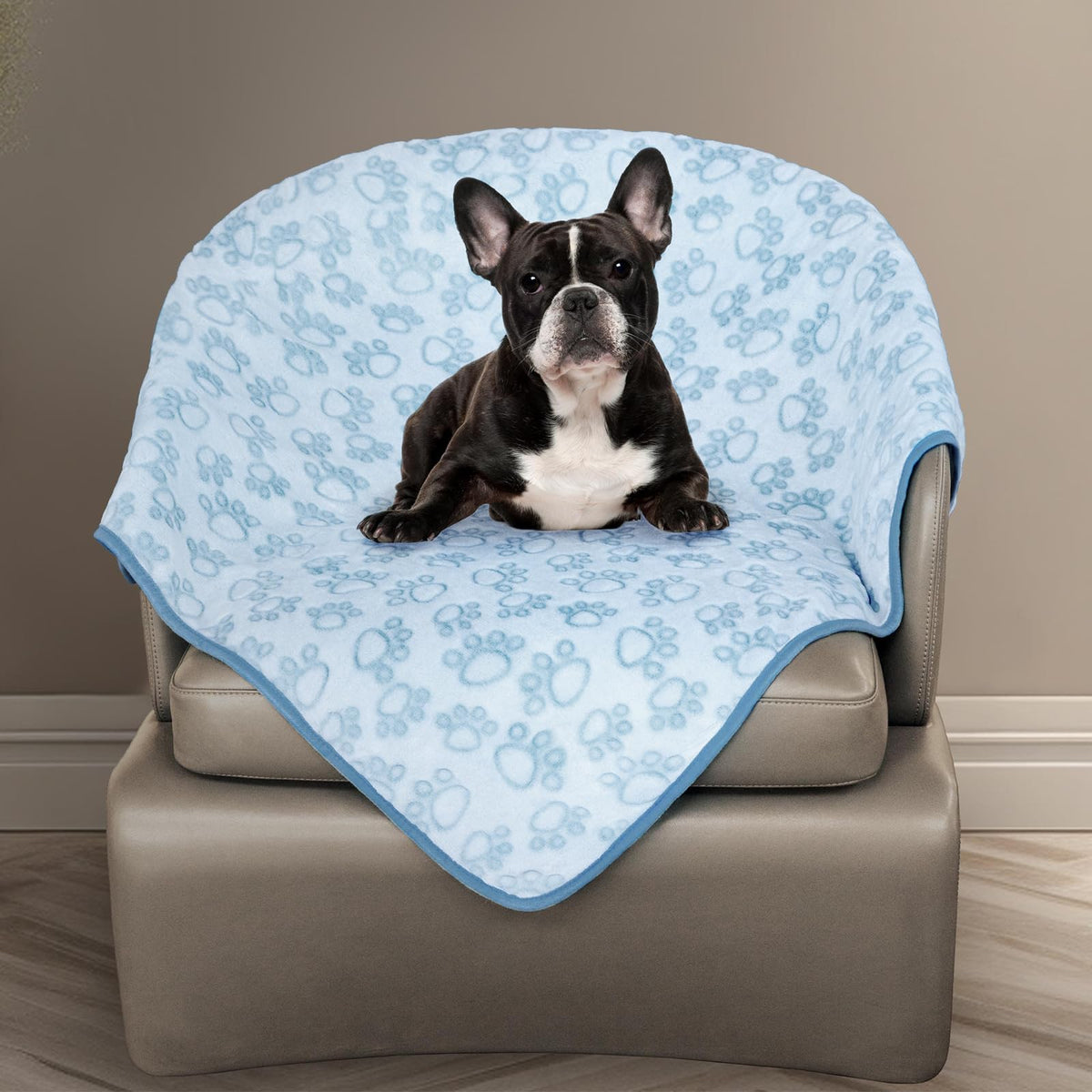 Stuffed® Premium Soft Dog Blanket Washable, 40"x32" Cat Blanket for Indoor Cats Large Medium Small Dog Puppy Essentials (Grey)