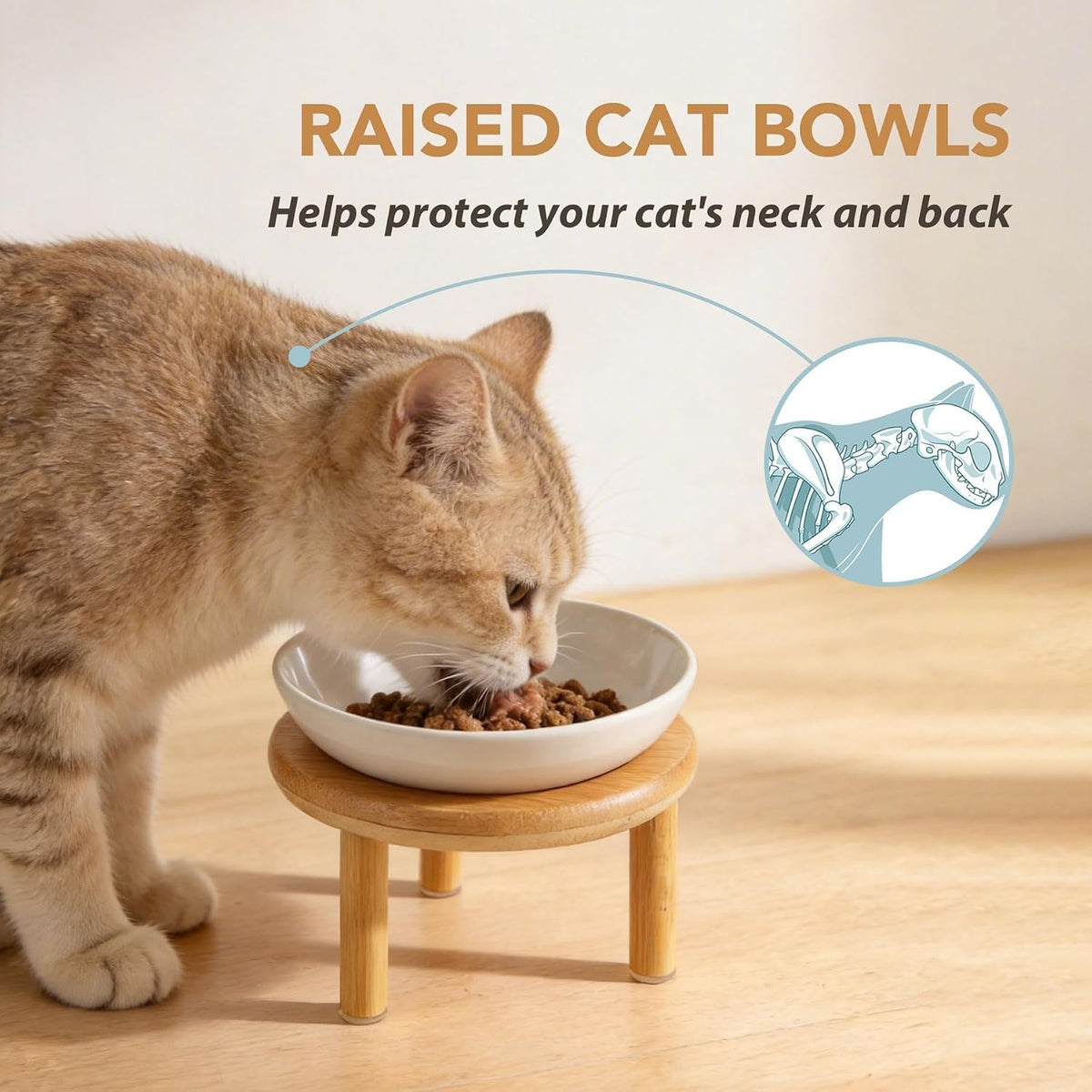 Havniva Elevated Cat Bowls, Ceramic Cat Bowl with Bamboo Stand Wide Opening