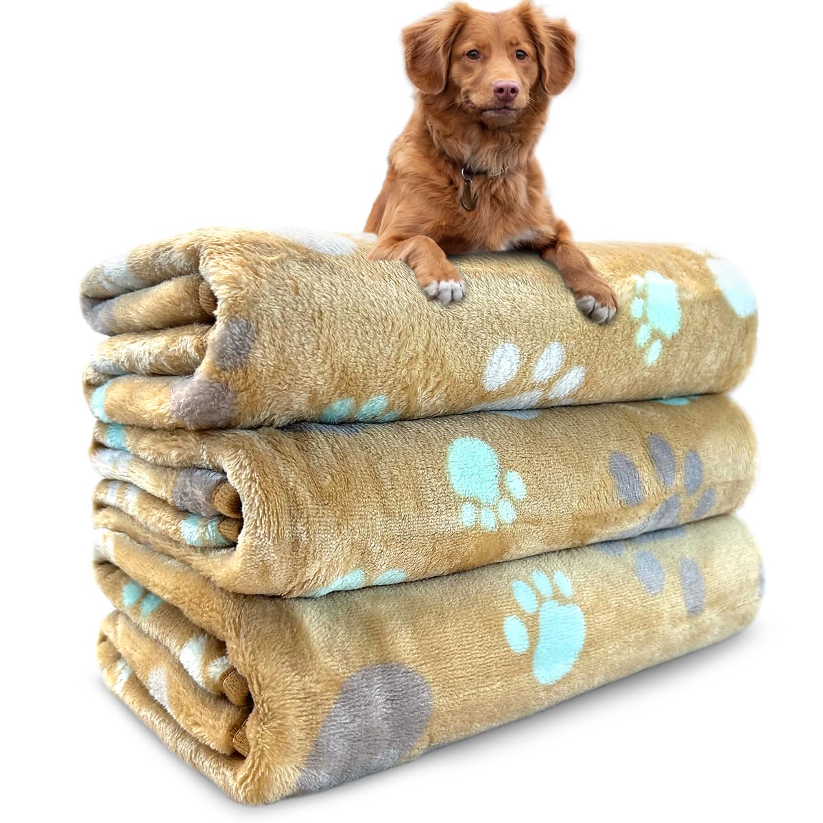 Dog Blankets for Medium Large Dogs, Cute Paw Pattern Washable 41" x 31"