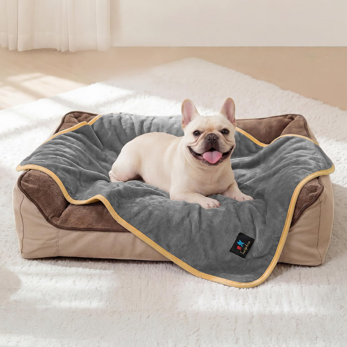 Luciphia Waterproof Bed Blanket Washable,Soft Sherpa Fleece Puppy Reversible Throw Blankets for Small Dog Cat, Furniture Cover Protector Couch Bed from Liquid Pee and Pet Fur, Black, 40" x 28"