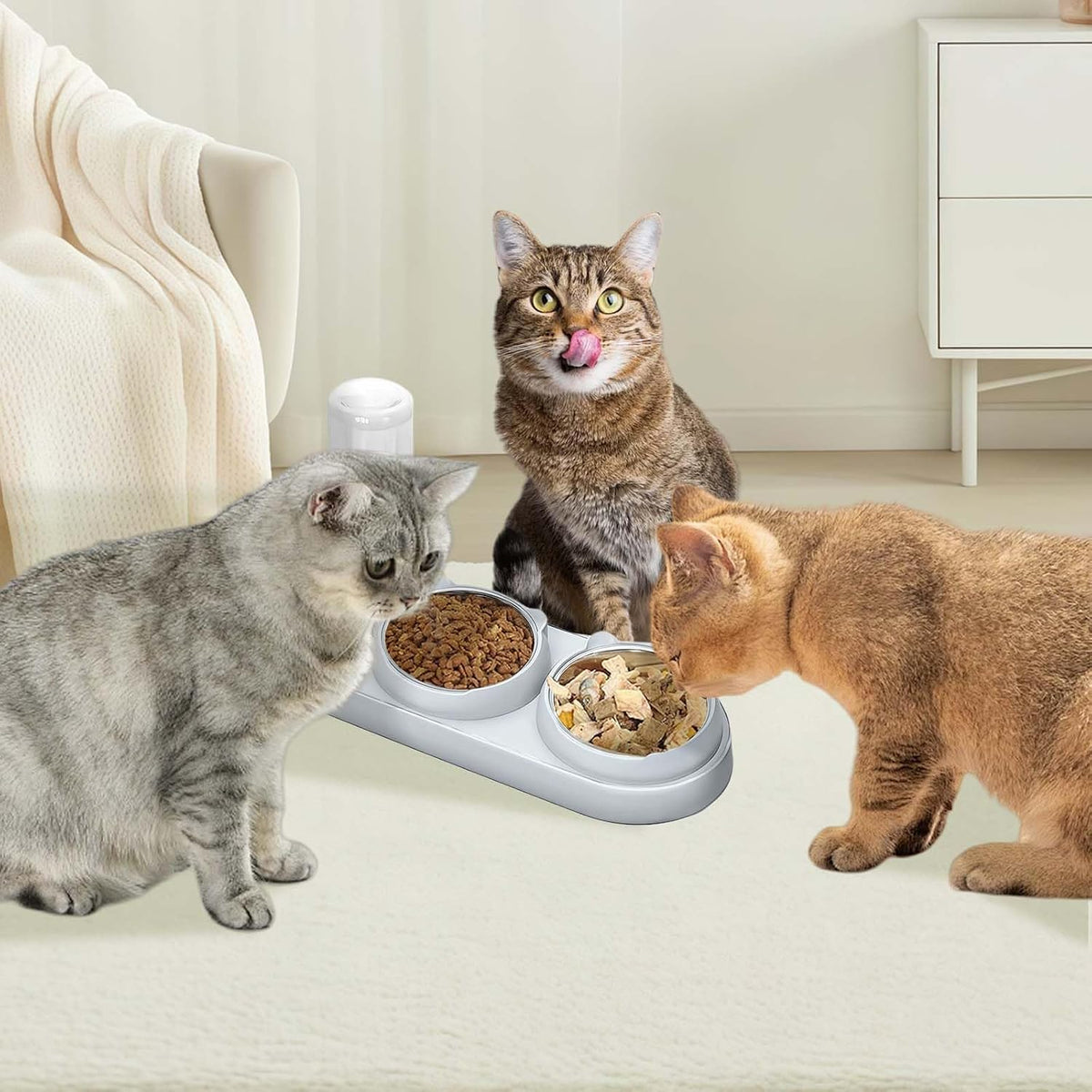 Marchul 3 in 1 Cat Bowl, Cat Food and Water Bowl Set with Water Dispenser and Stainless Steel Bowls, 15° Tilted Pet Raised Three Bowls for Indoor Cats, Small or Medium Sized Dogs