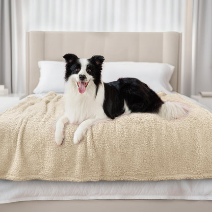 Luciphia Ultra Soft Sherpa Fleece Dog Puppy Cat Blanket for Small Pets